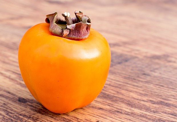 Persimmons Picking Now